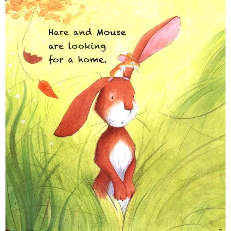 Rosalinda KightleyA Home For Hare And Mouse Rosalinda Kightley Bounce 9781910126745 Book