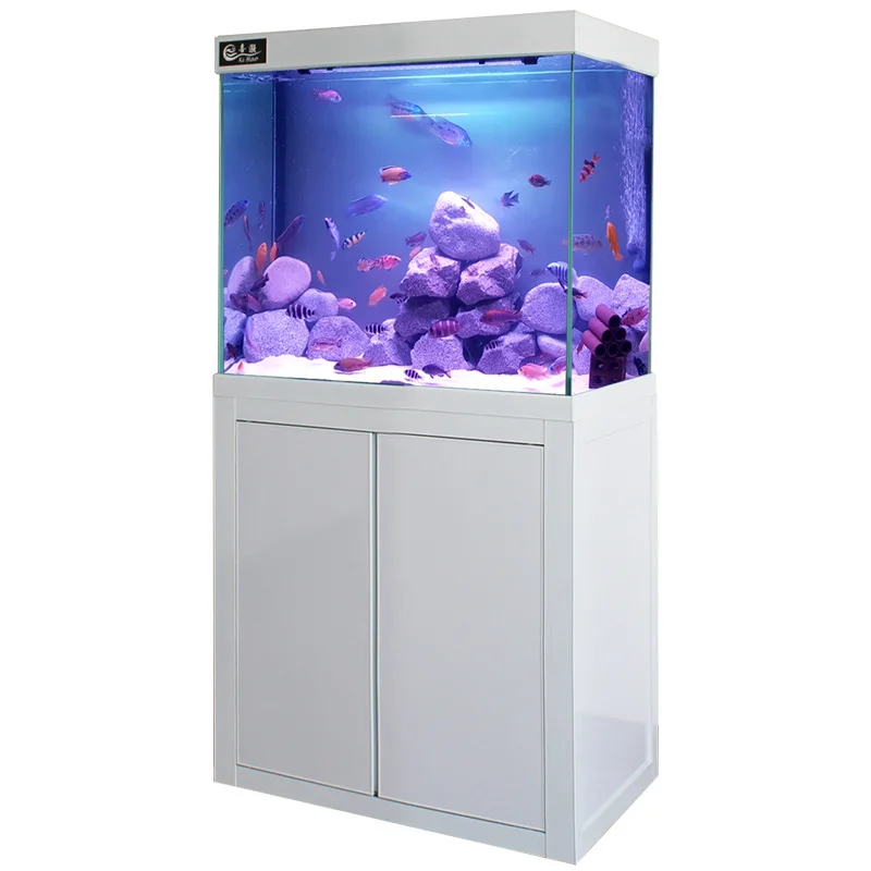 

Ultra-white fish tank, small living room, household use, no water change, creative ecology