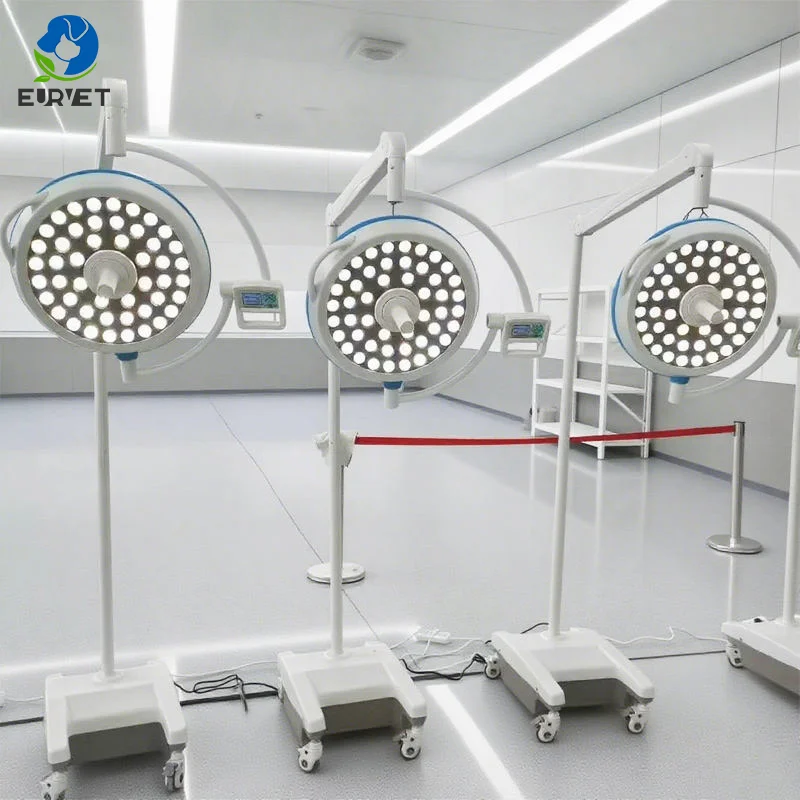 EURVET Operation Lighting Hospital Equipment Surgical Lamp Vet Surgery Light Certified Factory Shadowless Lamp Surgical Led Lamp