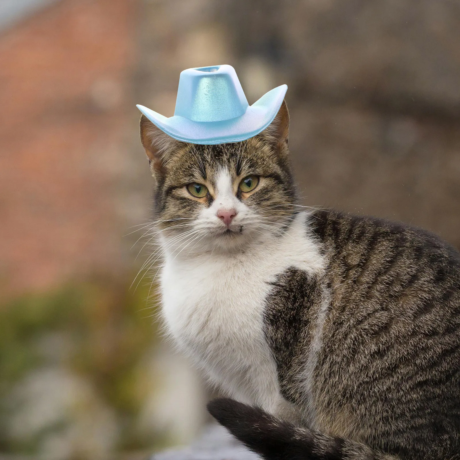 

Pet Cowboy Hat Mini Adjustable Soft Polyester Small Dog Cat Hat Party Festival Decorative Puppy Accessory Cowboy Dog Costume