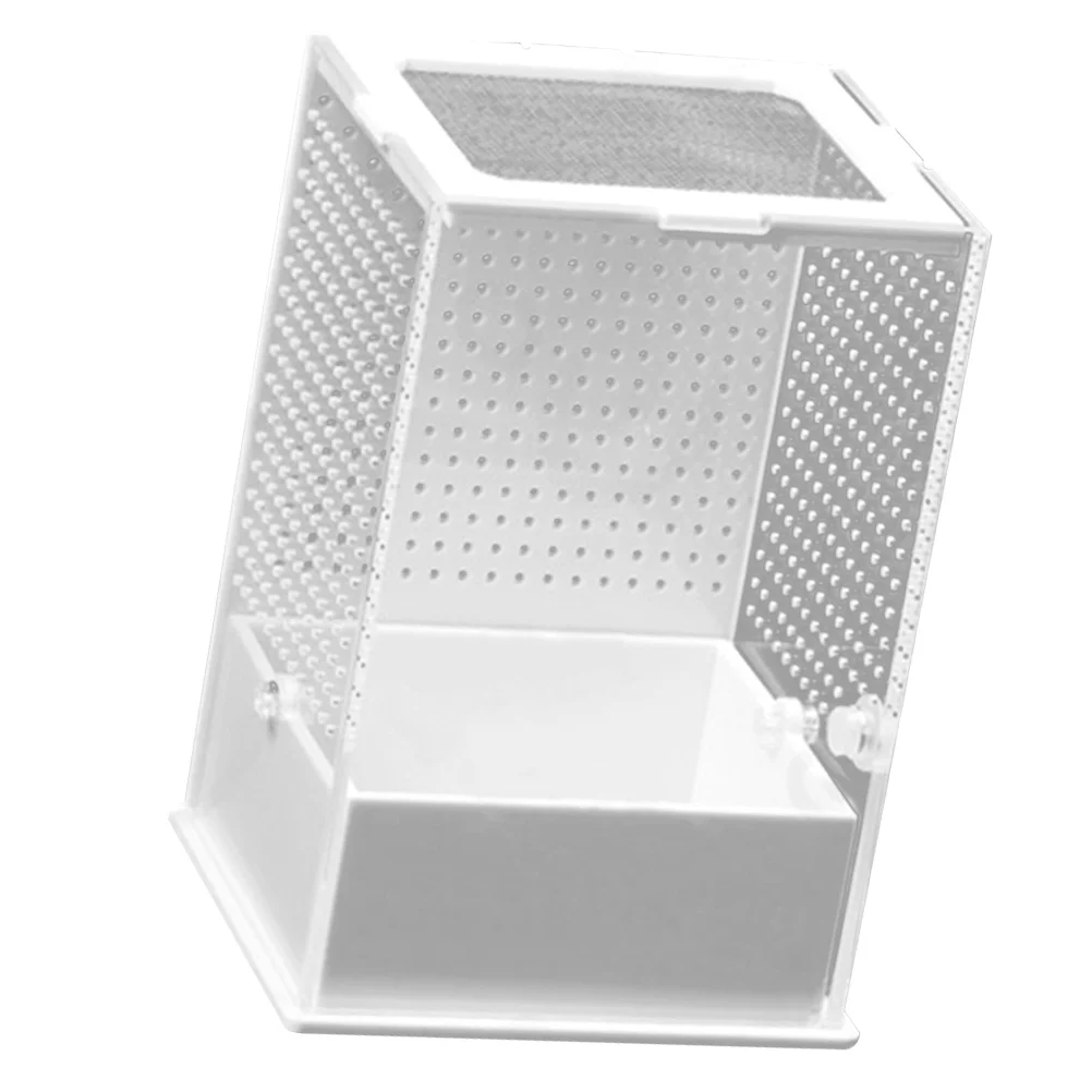 

Reptile Breeding Box Professional Transparent Acrylic Reptile Feeding Case Small Pet Insect Habitat Tank Acrylic Lizard Box