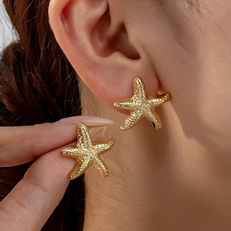 Boucles d'oreilles pour Femme Gris