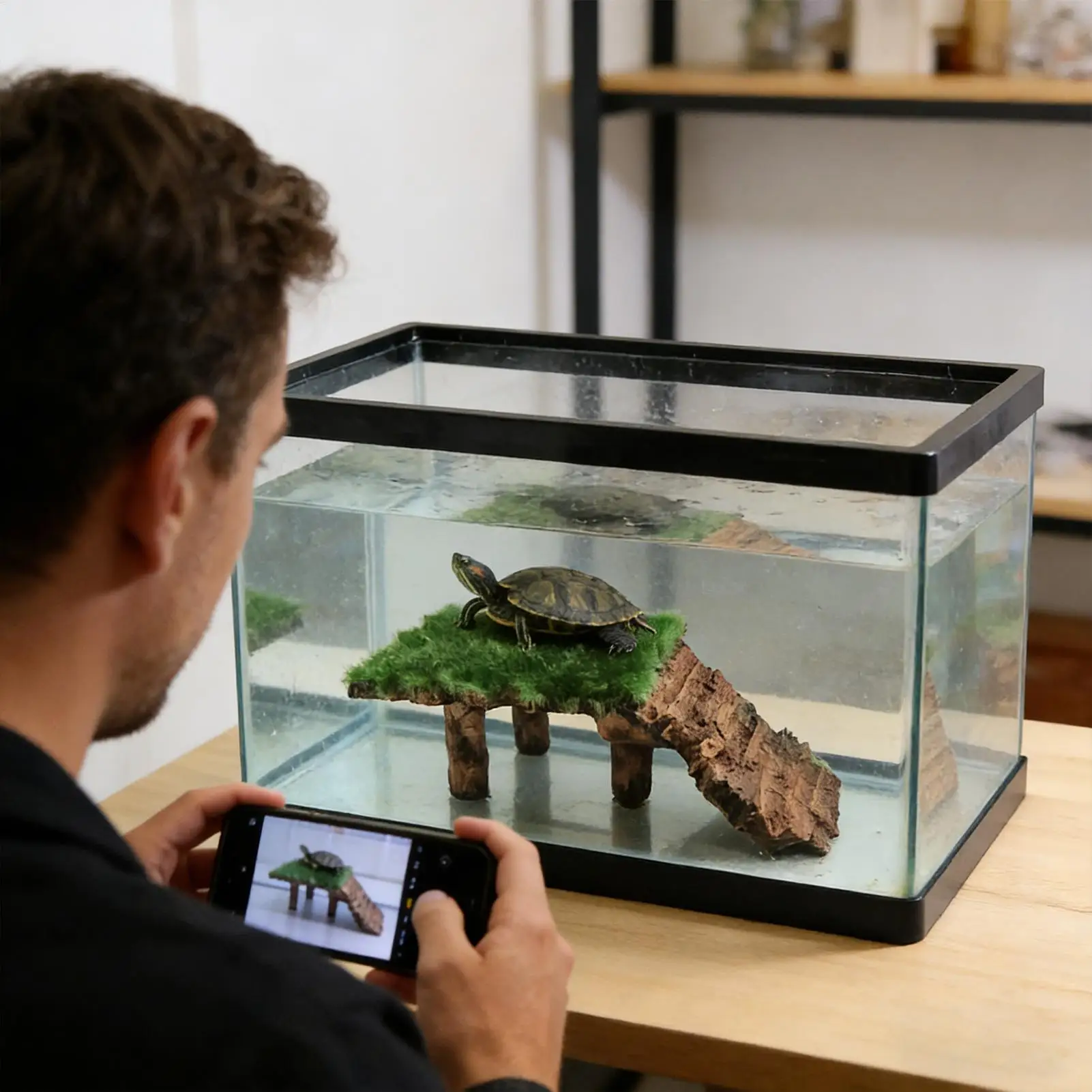 Schildkröten-Docks zum Sonnenbaden, Terrarium-Ruheplattform, Aquarium-Sonnenplattform für Schildkröten, Reptilien, Frösche, Tortoise, Terrapin, Bearded