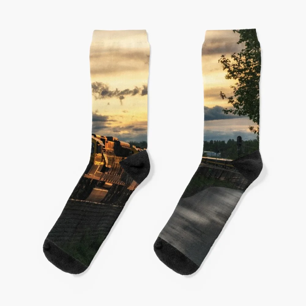 

Alaska train Socks kids FASHION Male Socks Women's