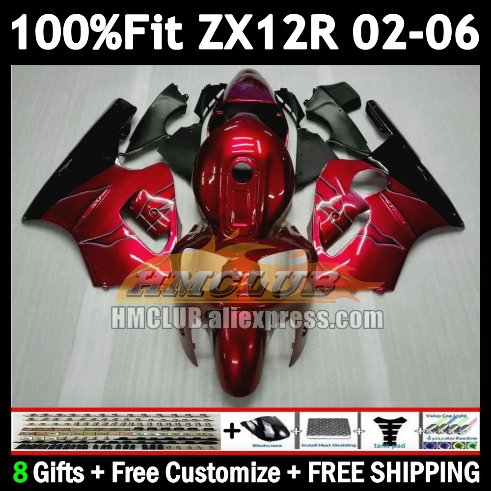 Injection For KAWASAKI lucky red NINJA ZX 12R 12 ZX-12R 2002 2003 2004 2005 2006 177No.42 1200CC ZX12R 02 03 04 05 06 Fairing