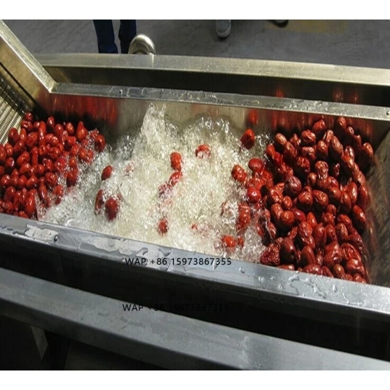 Factory Wholesale Fruit Bubble Washing Machine Orange Strawberry Cherry Lemon Mango Tomato Washer Provided 1 Set 300 600mm