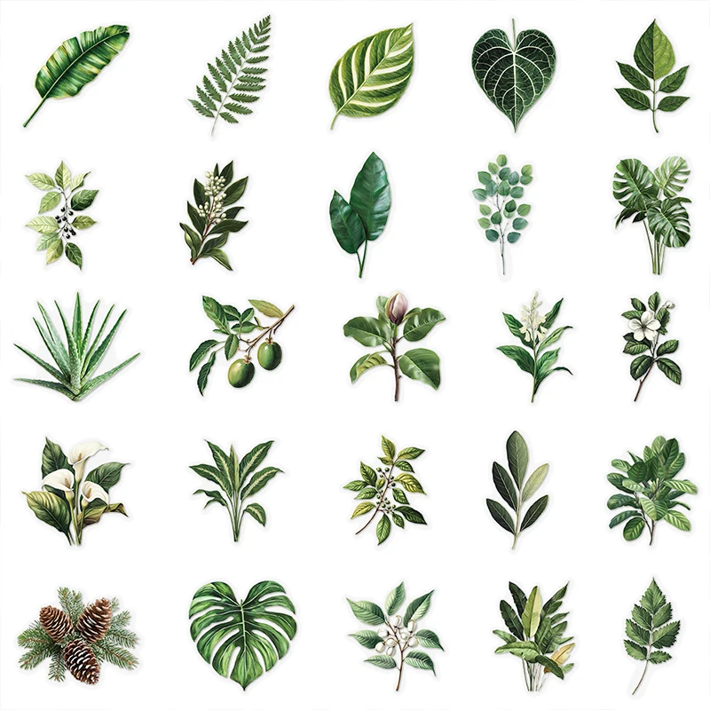 50 قطعة من ملصقات أوراق النباتات الخضراء DIY حقيبة دفتر الدراجة زجاجة ماء قضية الهاتف المحمول شفافة جرافيتي يترك الشارات