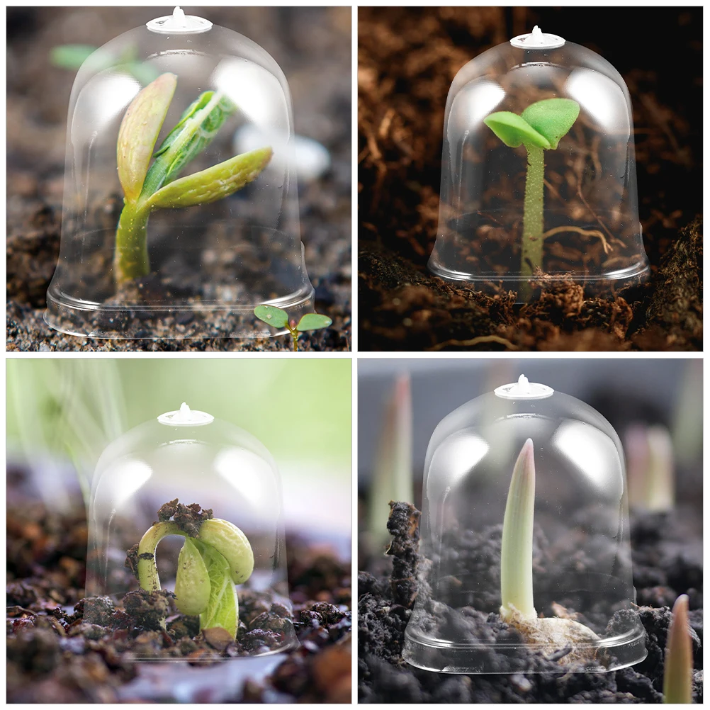 

6pcs Square Plant Nursery Pots Dome For Seedling Growth Indoor And Outdoor Use For Greenhouse Garden Plant Dome Protection Cover