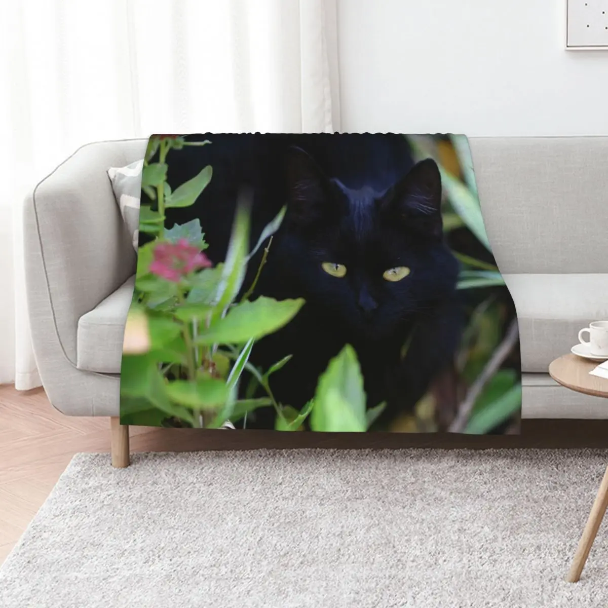 Black cat sitting in garden Throw Blanket Bed Fashionable Beautifuls Thin Multi-Purpose for babies Thermals For Travel Blankets