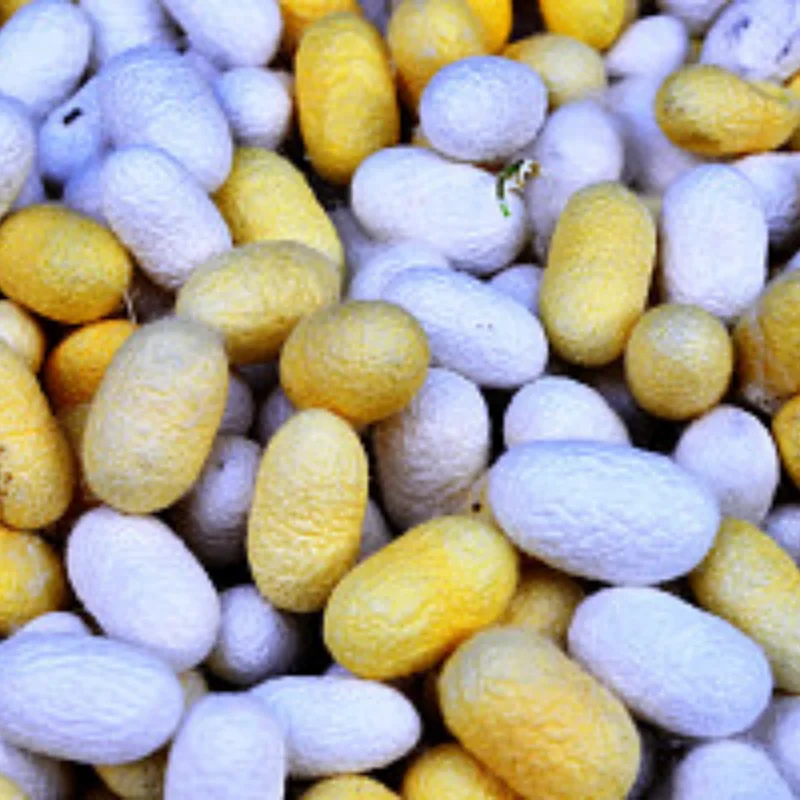 

RS Red Spider 1/8 RC Crawler Tire & Wheel Set – Compatible with CROSSRC, MST, H8H – Durable Rubber Tires + Plastic Rims R215