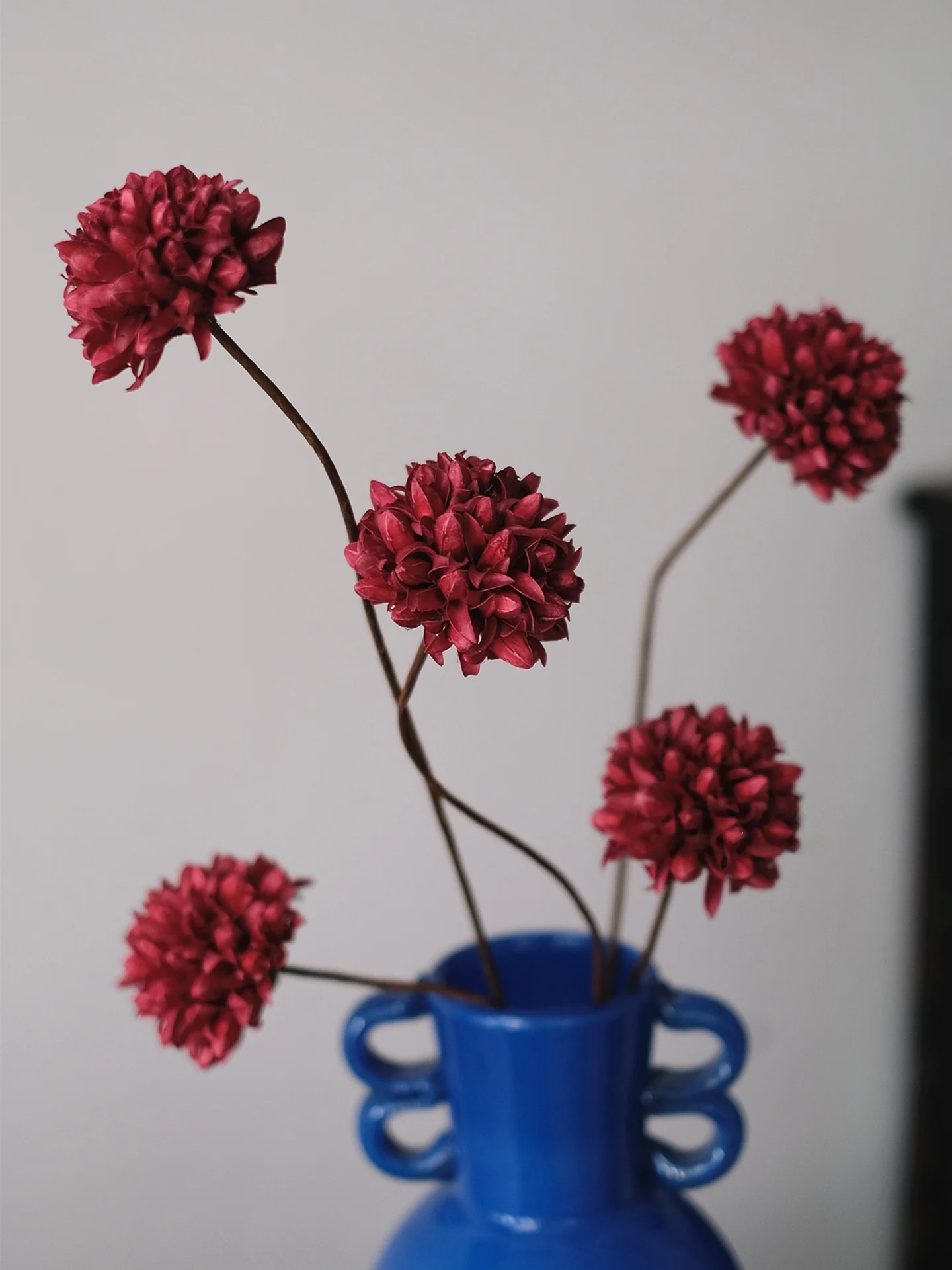 

Изысканный декоративный цветочный шар из сухоцветов ручной работы: красная орхидея. Вечный цветок для украшения гостиной.