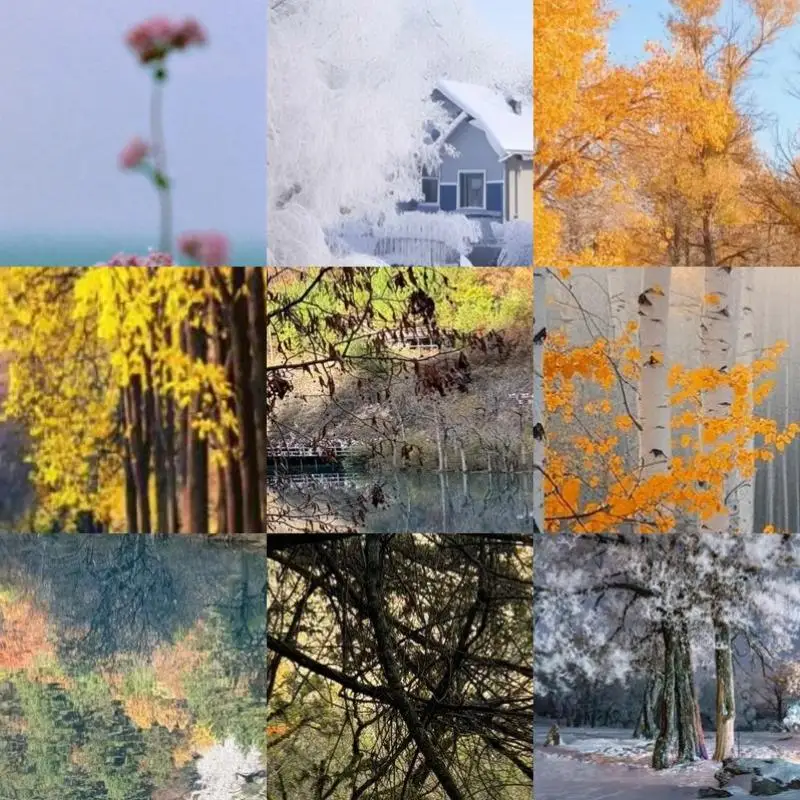 

3-in-1 Game Phone Sound Card Type-C To 3.5mm Gaming Phone Audio Board 60W Nylon Portable 24Bit 96Hz Hi-Res Accessories