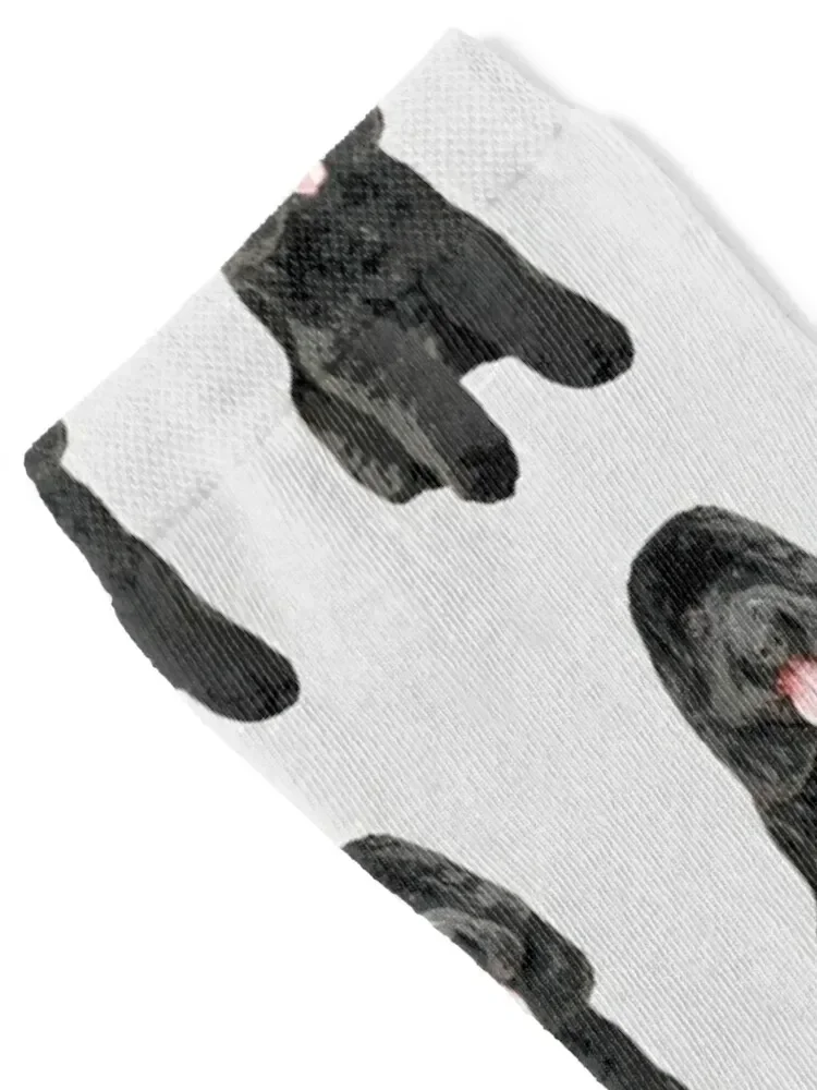 Cockapoo Cockerpoo Black Cutie Doodle Dog Socks designer brand compression Socks Men Women's