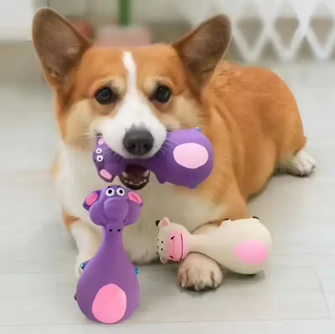 #47 Best Dog Chew Toys to Buy In 2026