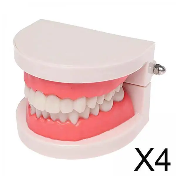 

Практический комплект модели искусственных зубов, выпрямляющая пластиковая настольная фигурка Typodont для обучения студентов-стоматолога