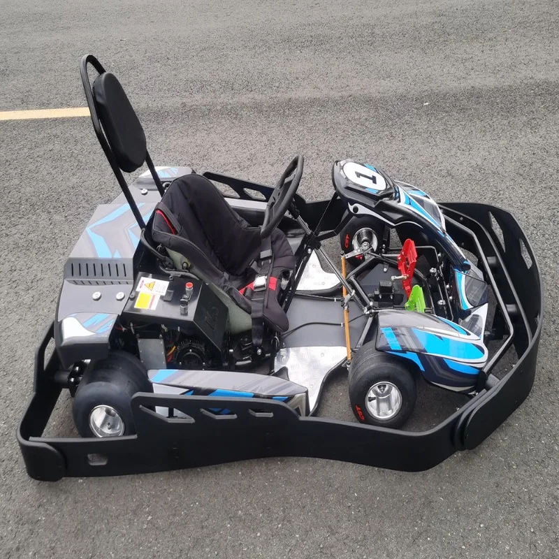 High Speed Go Kart Electric Go Kart Karting Cars for Sale Racing Go Kart Double People Style