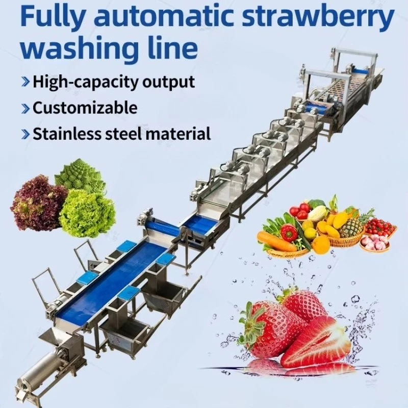 CustomizedFood Grade Fruit Vegetable Processing Line Stainless Steel Material Meet International Food Safety Standard