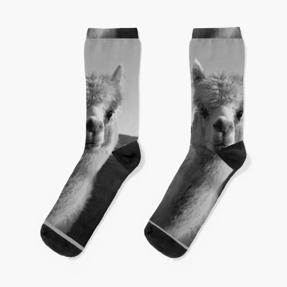 

Alpaca Black & White Lama Peru Alpaka Sweet / ALPACA LOVE Collection Socks snow gym bright garter gift Socks Women's Men's