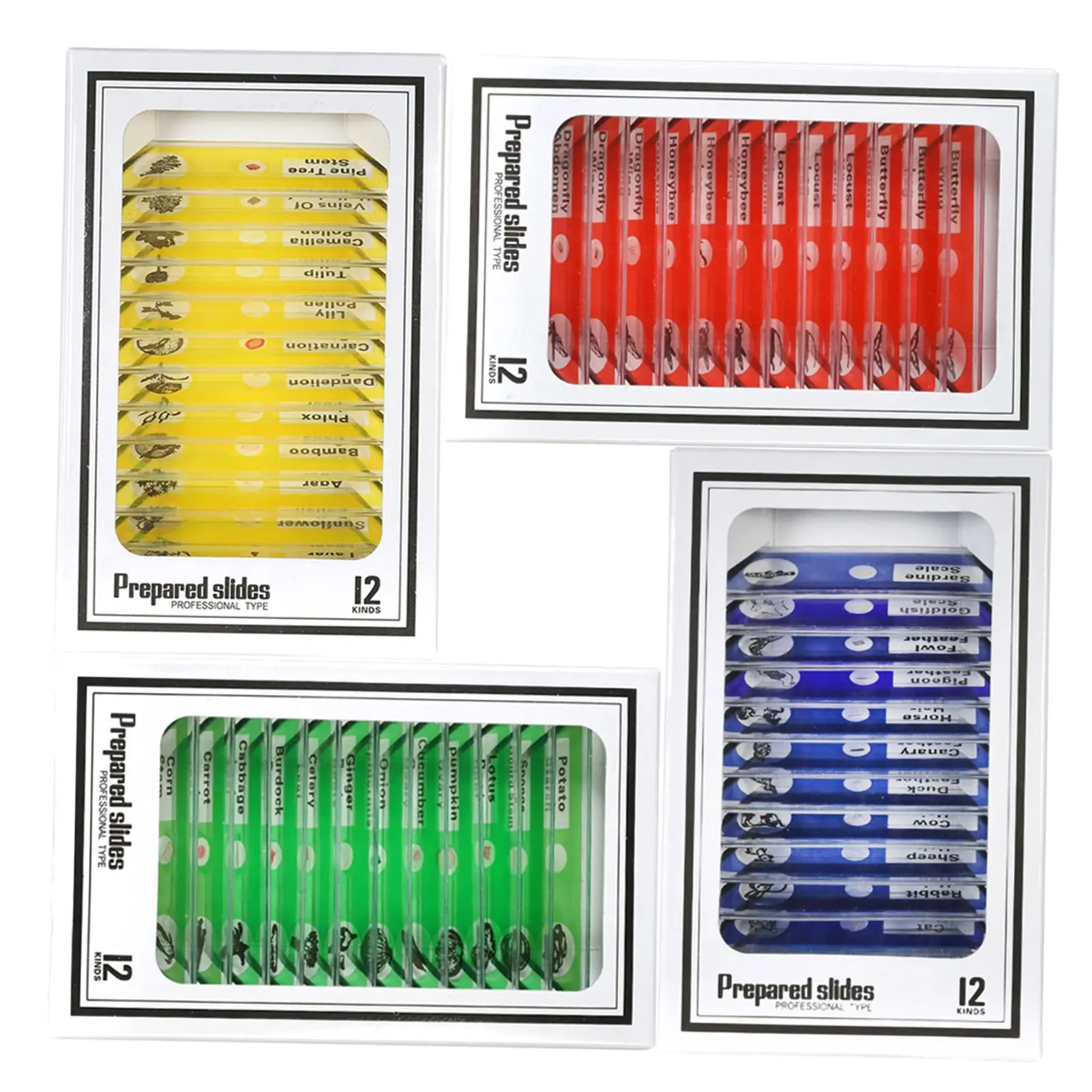 48pcs/set Plastic Prepared Microscope Slides Animals Insects Plants Sample Specimens Slides Set with Color Labels for Kids Stude