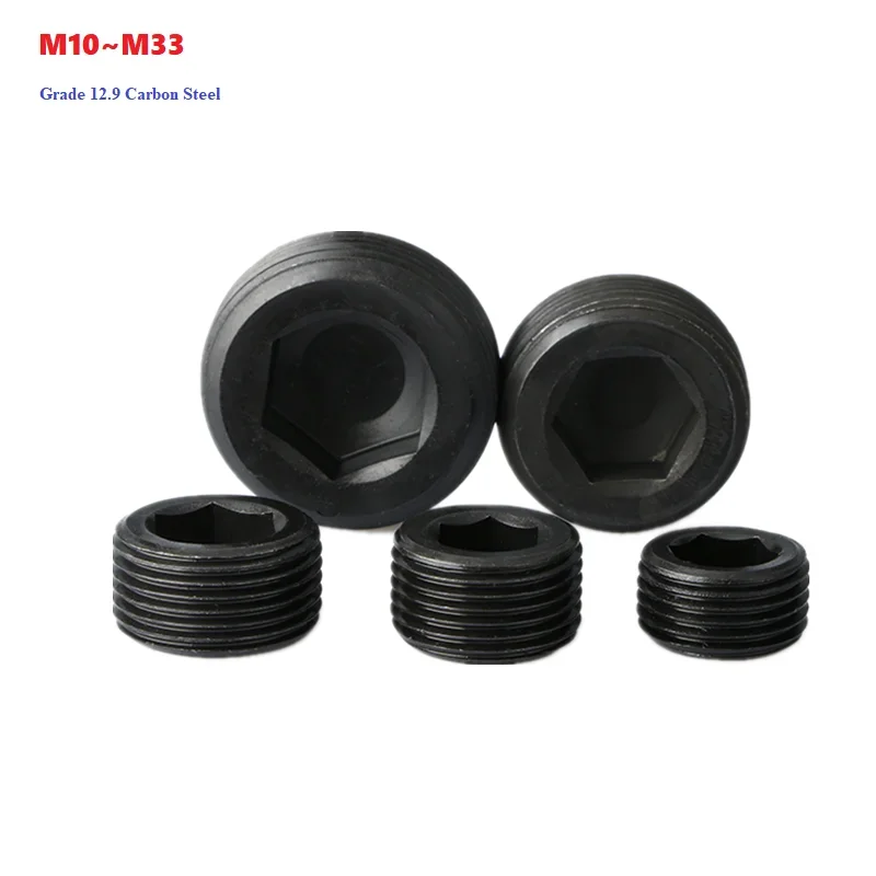 

Black Carbon Steel Grade 12.9 Stop Payment Hex Socket Metric Screws M10 M12 M14 M16 M18 M20 M22 M24 M26 M27 M28 M30 M33