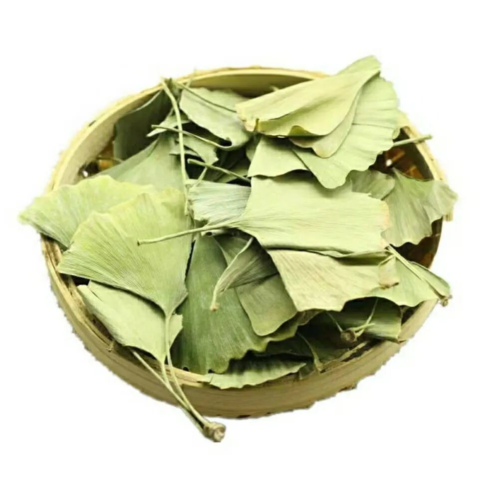 Top Natural Ginkgo Biloba Dried Leaves For Beauty Health Soap Home Fragrance Sachet Wedding Candle Jewelry Making Outdoor Decor