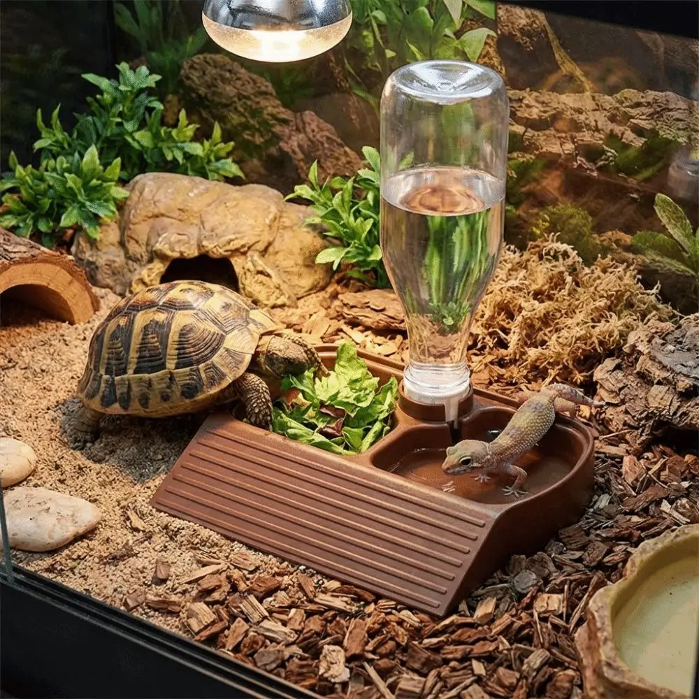 2 in 1 Reptile Feeder Station Automatic Fill Large Capacity Automatic Water Dispenser Climbing Slope Plastic Turtle Water Bowl