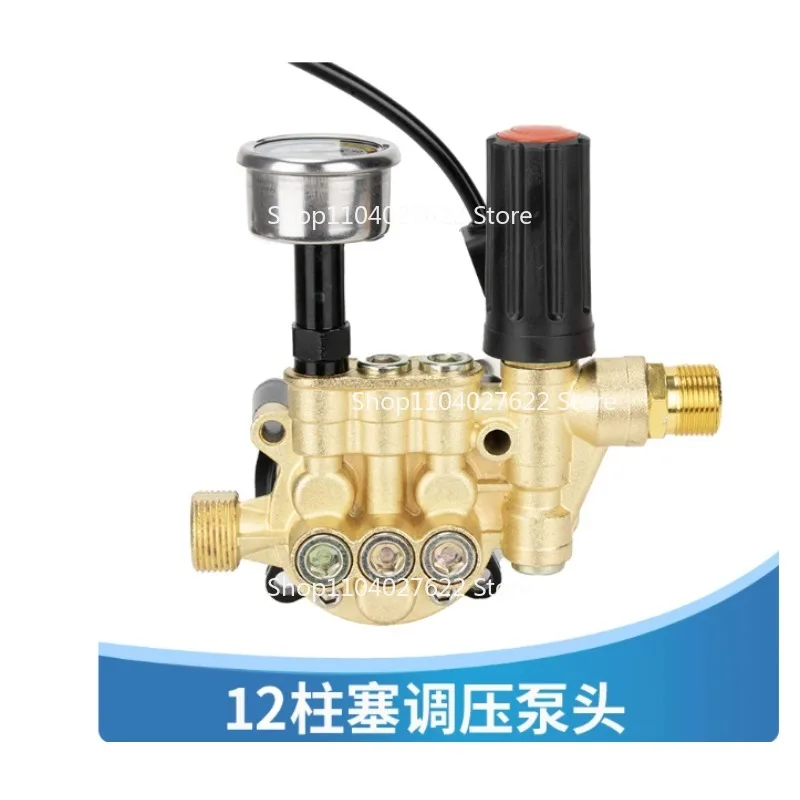 

12-Pillar Pressure Regulating Household Portable Car Washing Machine Pump Head Assembly Accessories