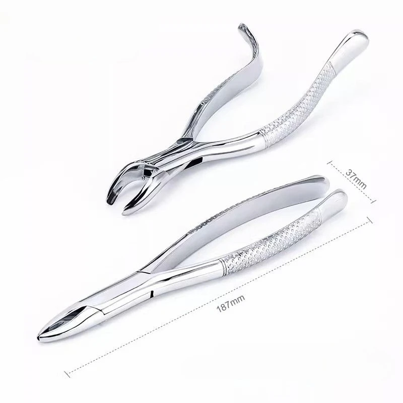Dental Adult Extraction Forceps Upper Lower Jaw Dental Forceps Non-slip Handle 8L/8R/151/150 Dental Universal Instrument Tool view 4