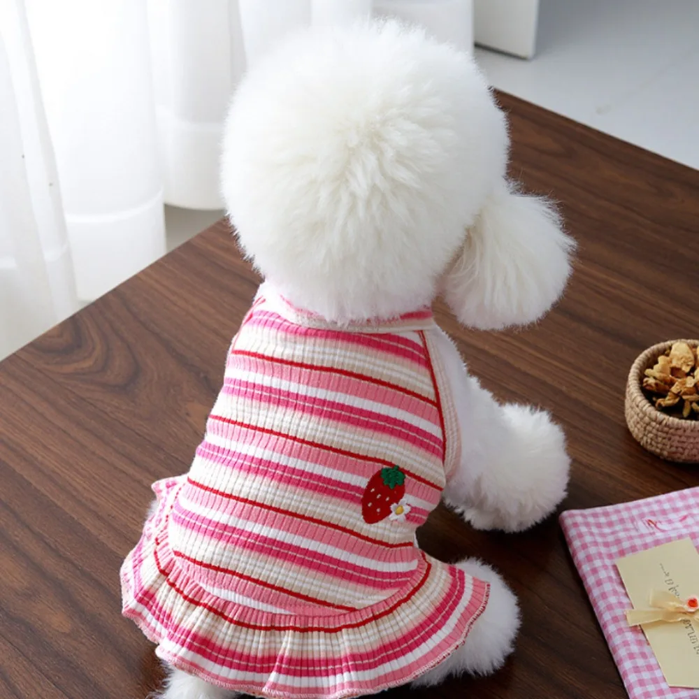 1pc Summer thin pet camisole vest, new embroidered strawberry camisole teddy bear cat camisole skirt view 3