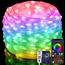 RGB IC Smart String Light DIY LED Fairy Lights Programmable WS2812B USB Garland Decoration for Home Bedroom Christmas Wedding