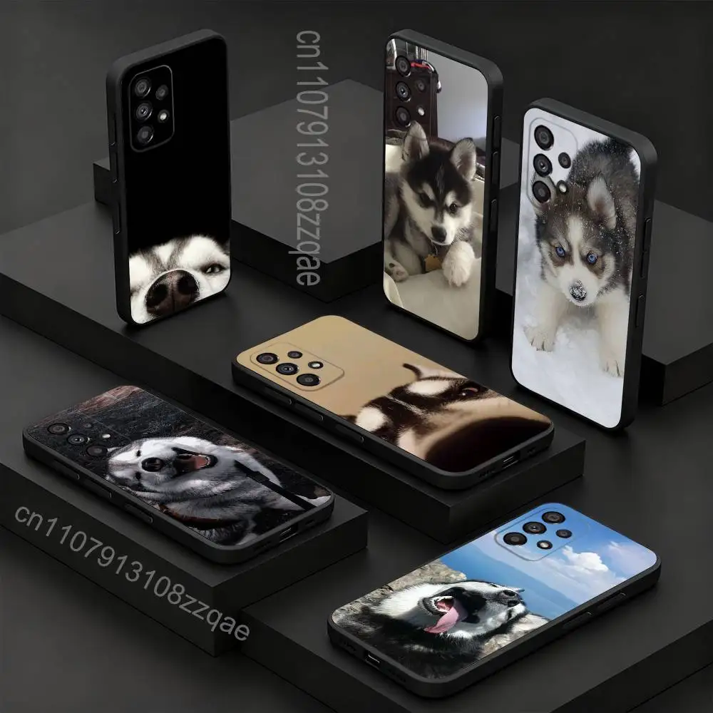 Husky Puppy Dog Fun…