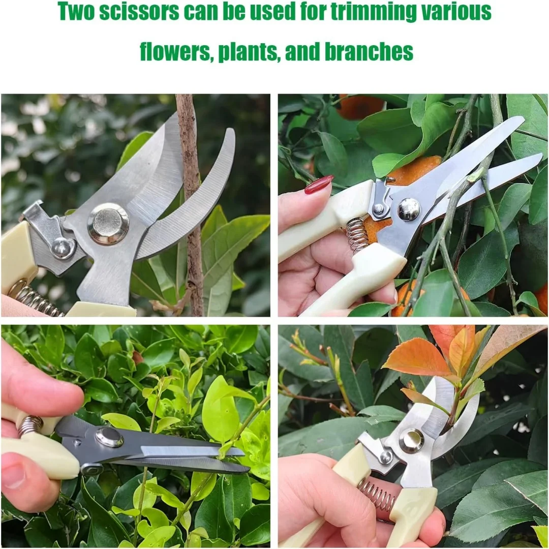فروع الحديقة مقص التقليم الفولاذ المقاوم للصدأ مقصات المزرعة أداة فرع زهرة ورقة التشذيب مقص عالية الجودة أداة تشذيب النبات #6