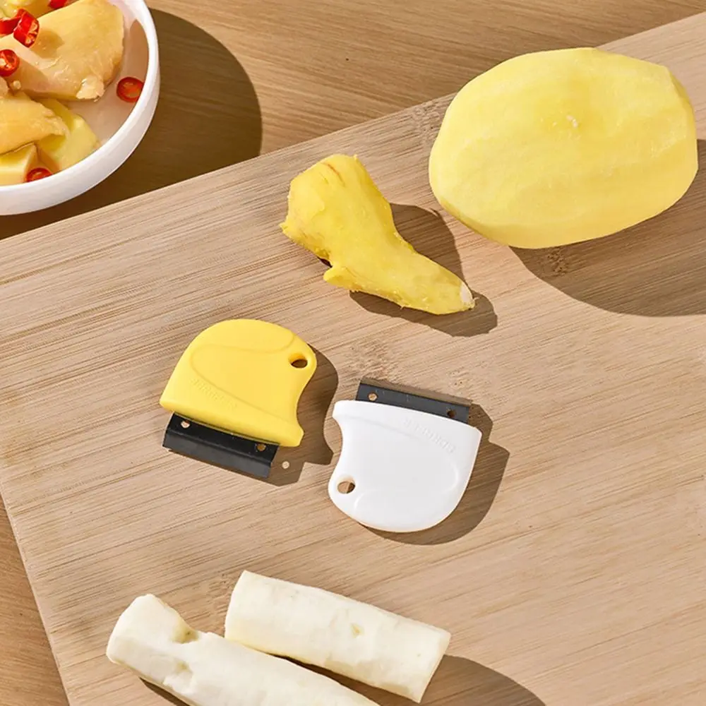 Multifunctional Garlic Peeler Stainless Steel Curved Design Garlic Peeling Without Hurting Hands Manual Fish Scale Remover