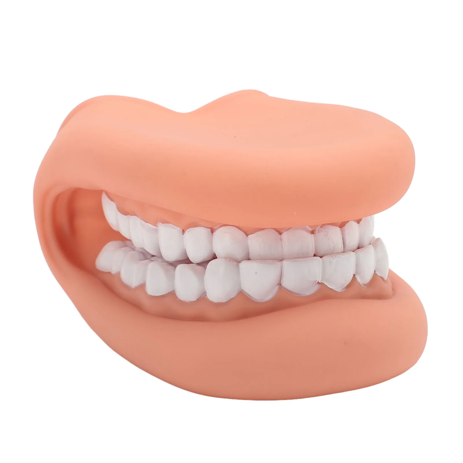 Mouth Puppet with Tongue 28 Teeth Silicone Speech Therapy Demonstration Teeth Model for Kids Teaching Teeth Care Model