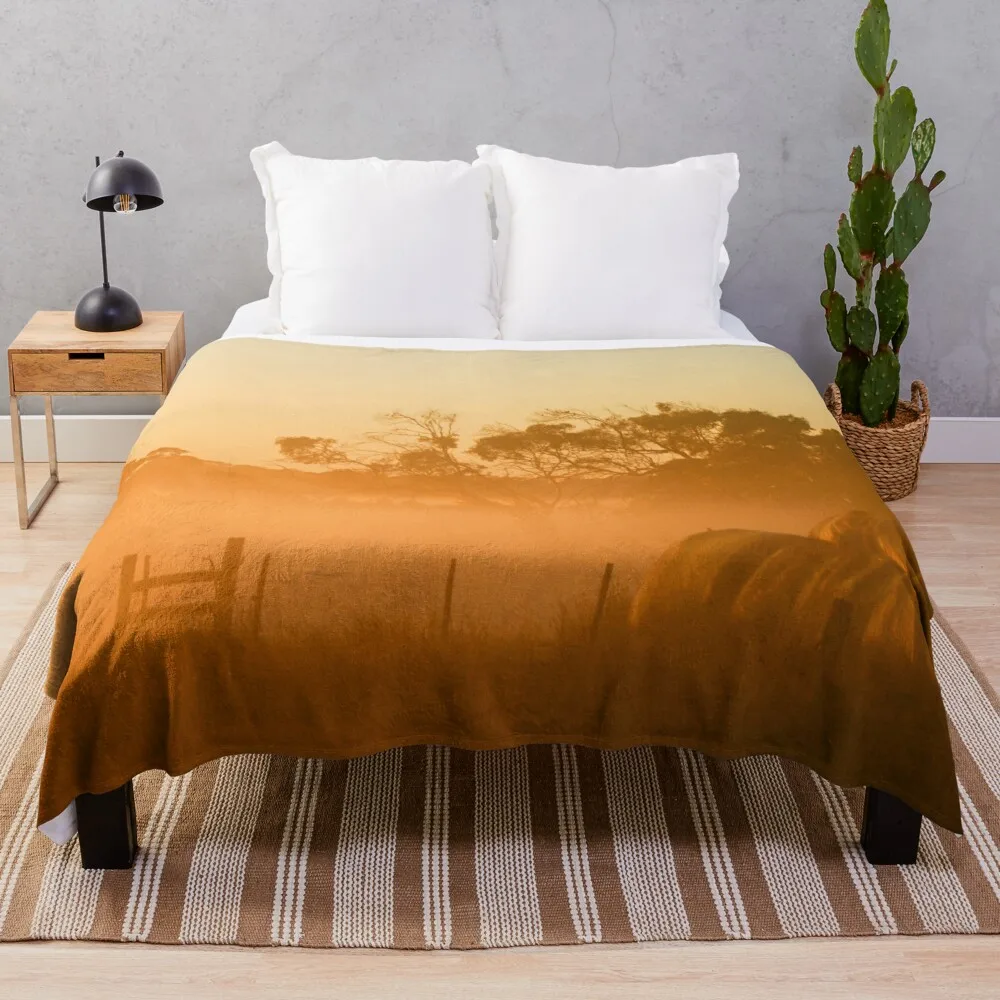 

Golden Morning Light, Phillip Island, Victoria Throw Blanket Softest cosplay anime blankets ands Blankets