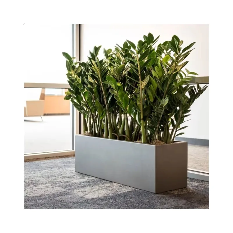 

Изготовленная на заказ прямоугольная большая коробка для цветов из нержавеющей стали