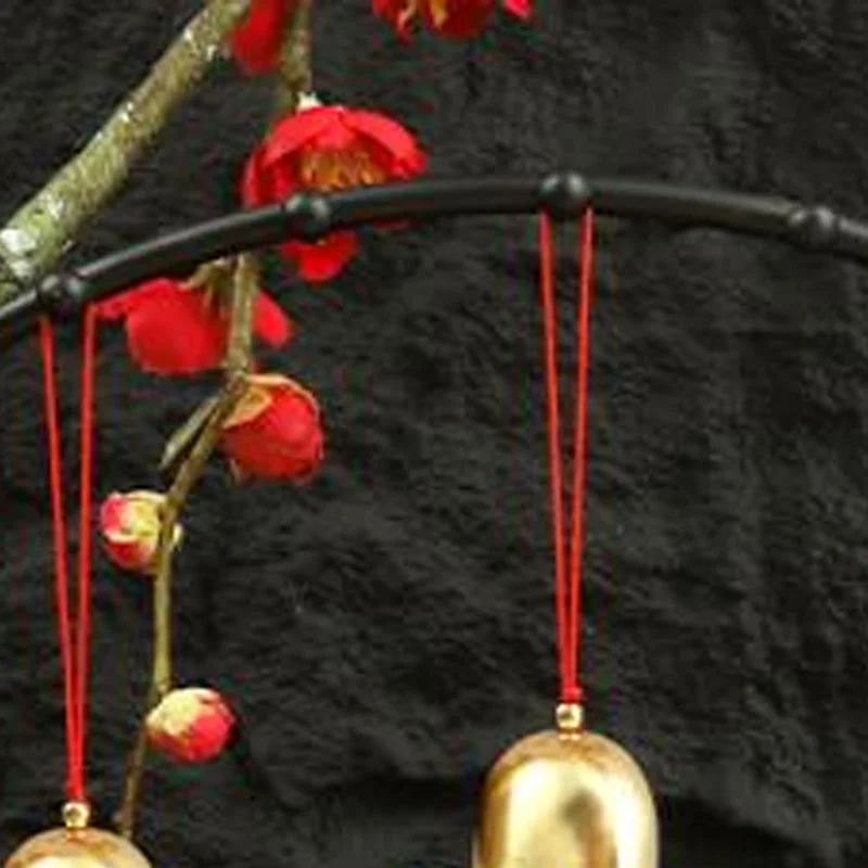 1 قطعة الأحمر 2026 مهرجان الربيع الصيني قلادة حمراء الحدث مركز تسوق ديكور المنزل مهرجان الربيع حلية الحصان سنة قلادة #3