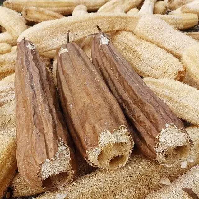 

Чистая неочищенная длинная кожура тыквы для кухни, волокна тыквы для купания, традиционное средство для кипячения воды.