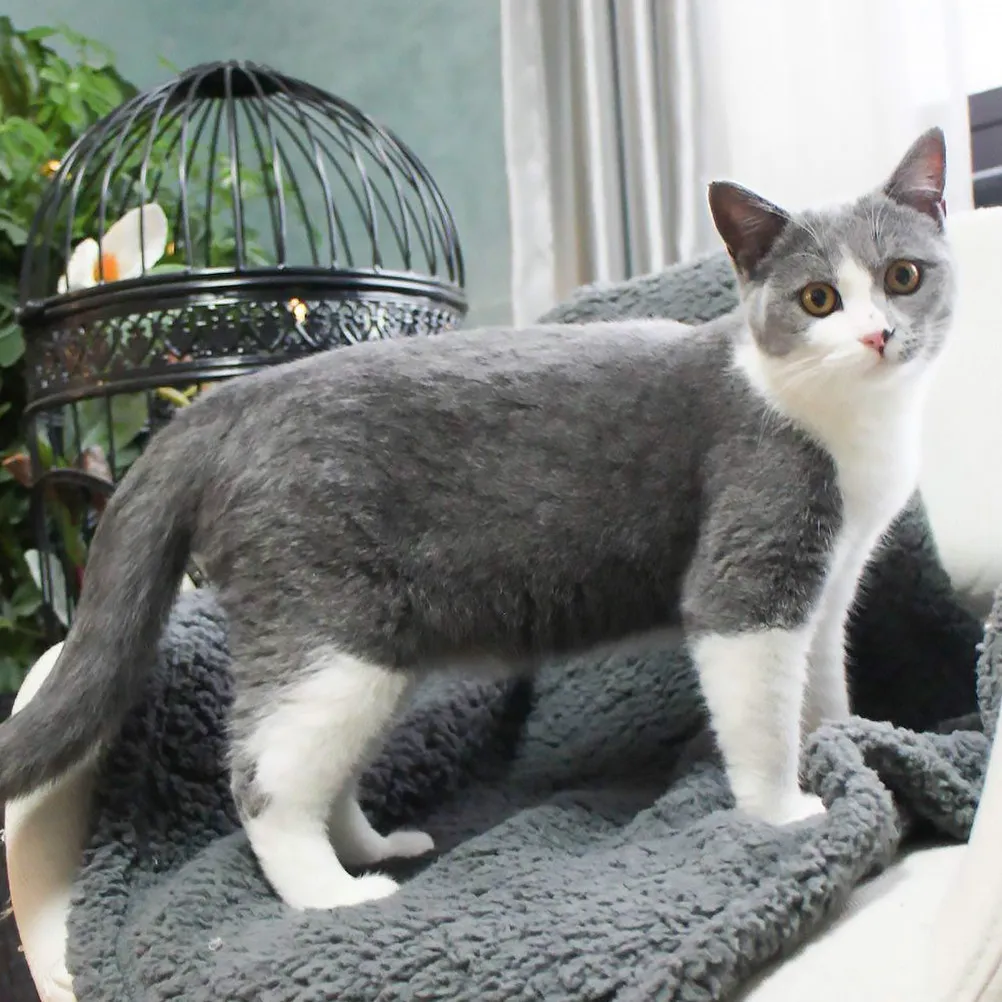 

2 шт. теплых пледов для домашних животных: лежанка для собак и кошек, мягкий шерстяной коврик, легкий и удобный, для дома и улицы