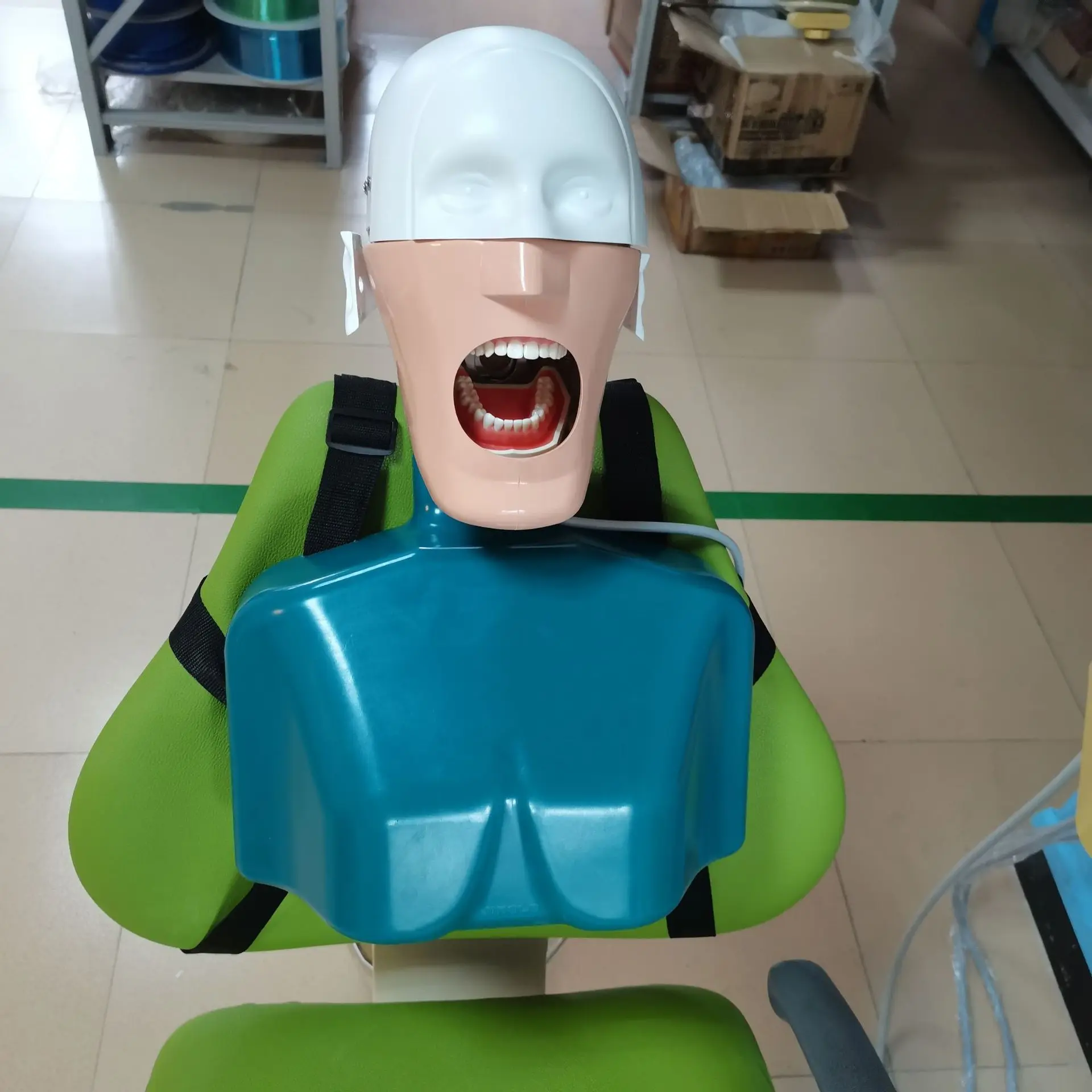 Model do nauki YTYIN, model do ćwiczeń, model symulacyjny typu Phantom z wiązanym sznurkiem.