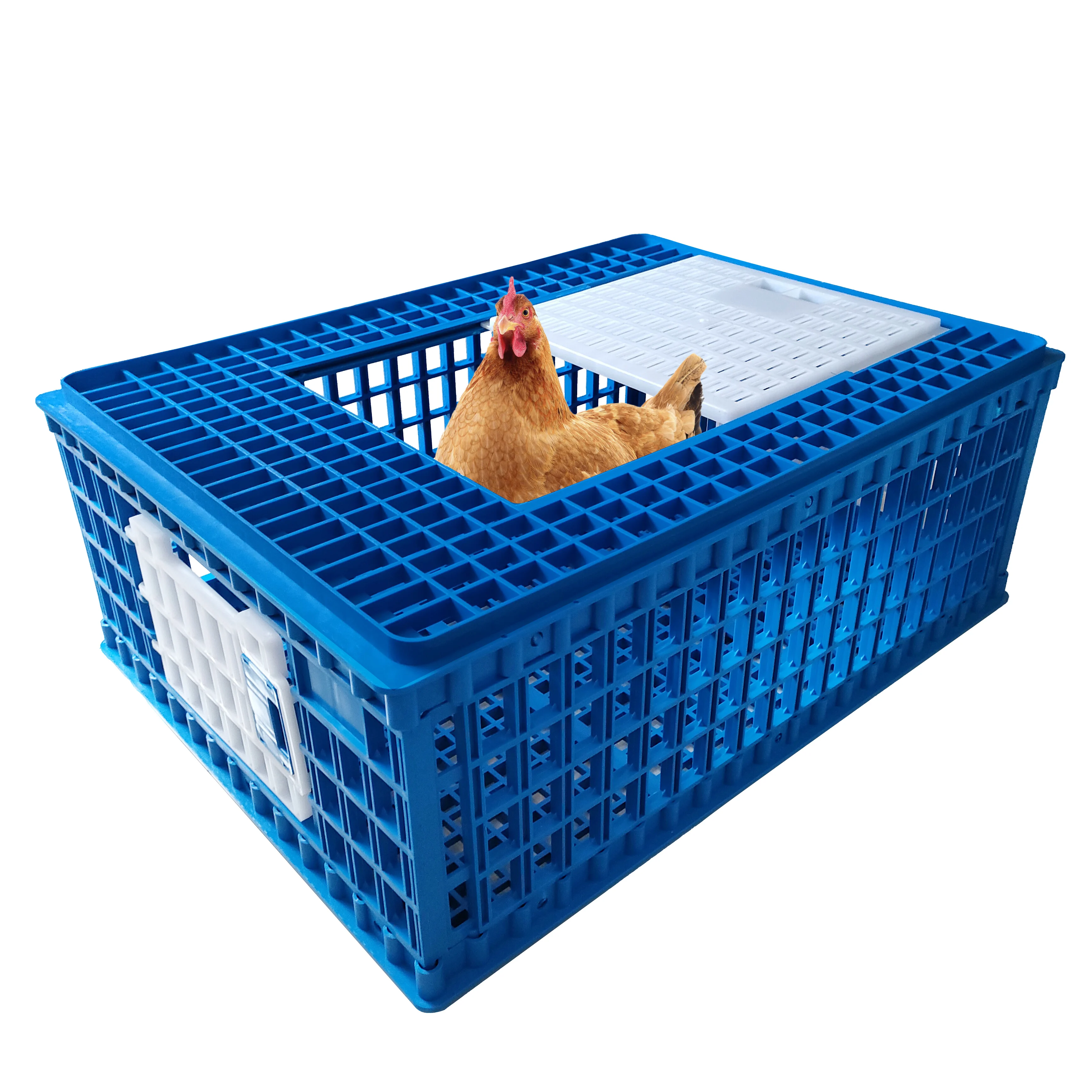 

Durable Big Plastic Poultry Carry Chickens Carrier Crates Suitable For Up To 12-13 Adult Chickens Ducks Transport Equipments