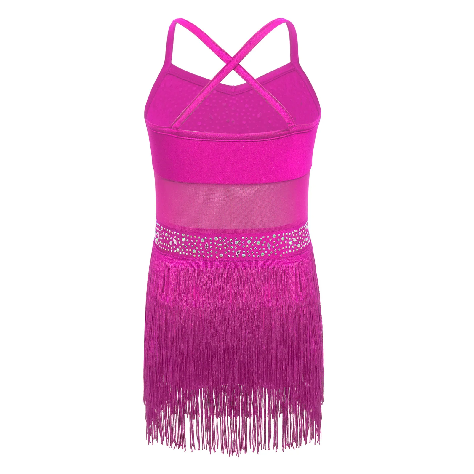 

Kids Girls Rhinestone Tassel Fringe Latin Dance Leotard Dress Samba Rumba Sheer Mesh Rhinestone Ballroom Tango Dress Dancewear