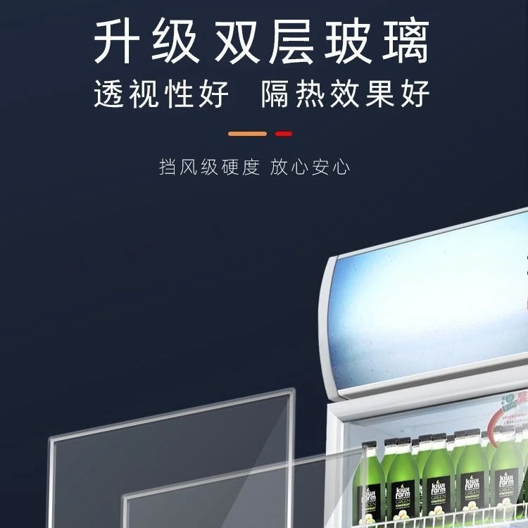 Kühlvitrine Vertikaler kommerzieller eintüriger Gefrierschrank