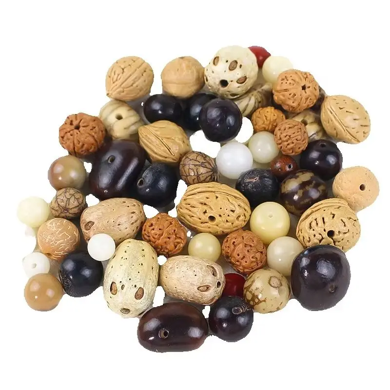 1 opakowanie różnorodnych oryginalnych nasion Bodhi, nieregularne koraliki, ręcznie robione bransoletki, naszyjniki, naturalne przekładki do koralików, zawieszki, materiały do tworzenia biżuterii DIY. — 2