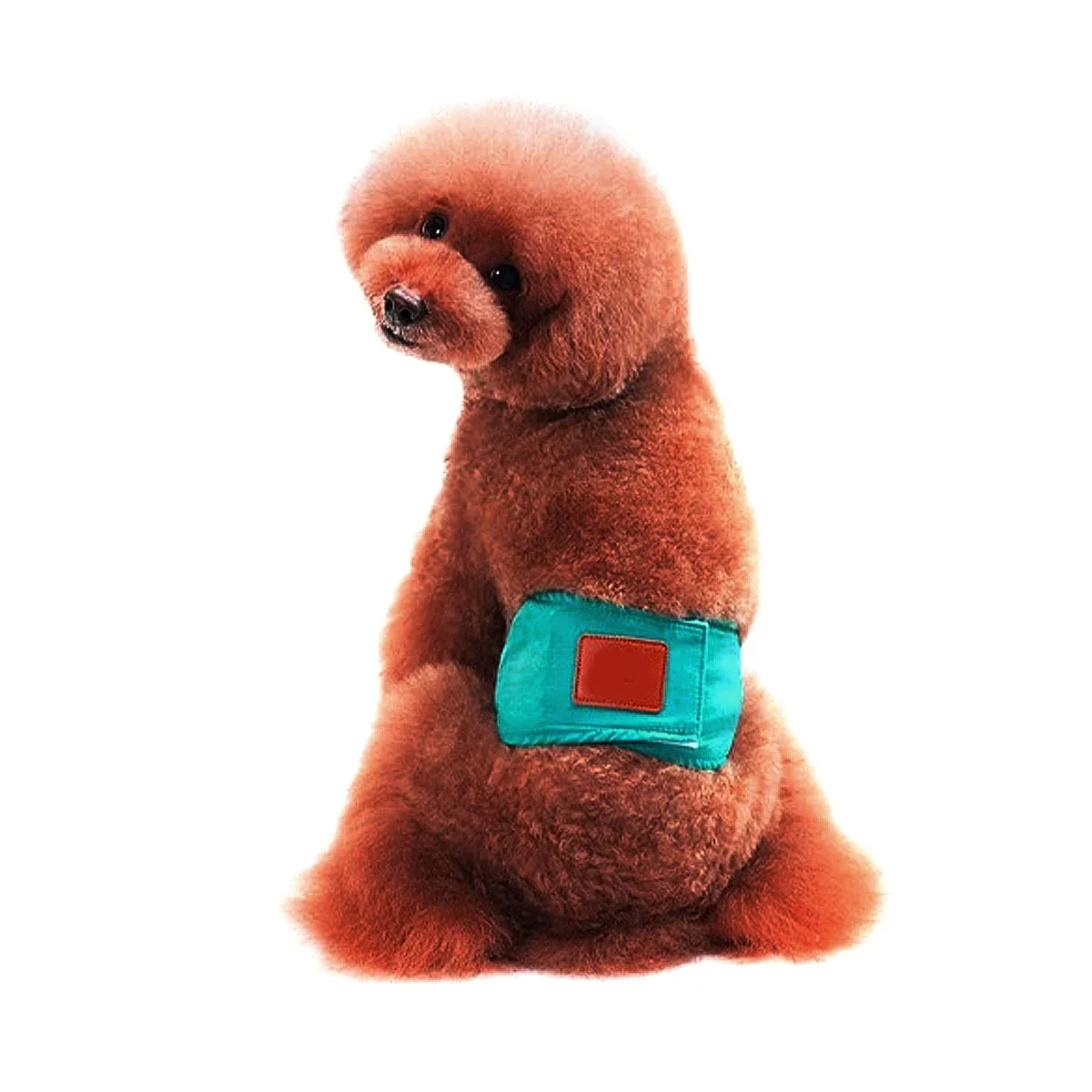 

Xl Green Pet Dog Puppy Diapers Sanitary Pants Washable Male Shorts Cotton Comfortable Protect Carpets Floors Odor Stains