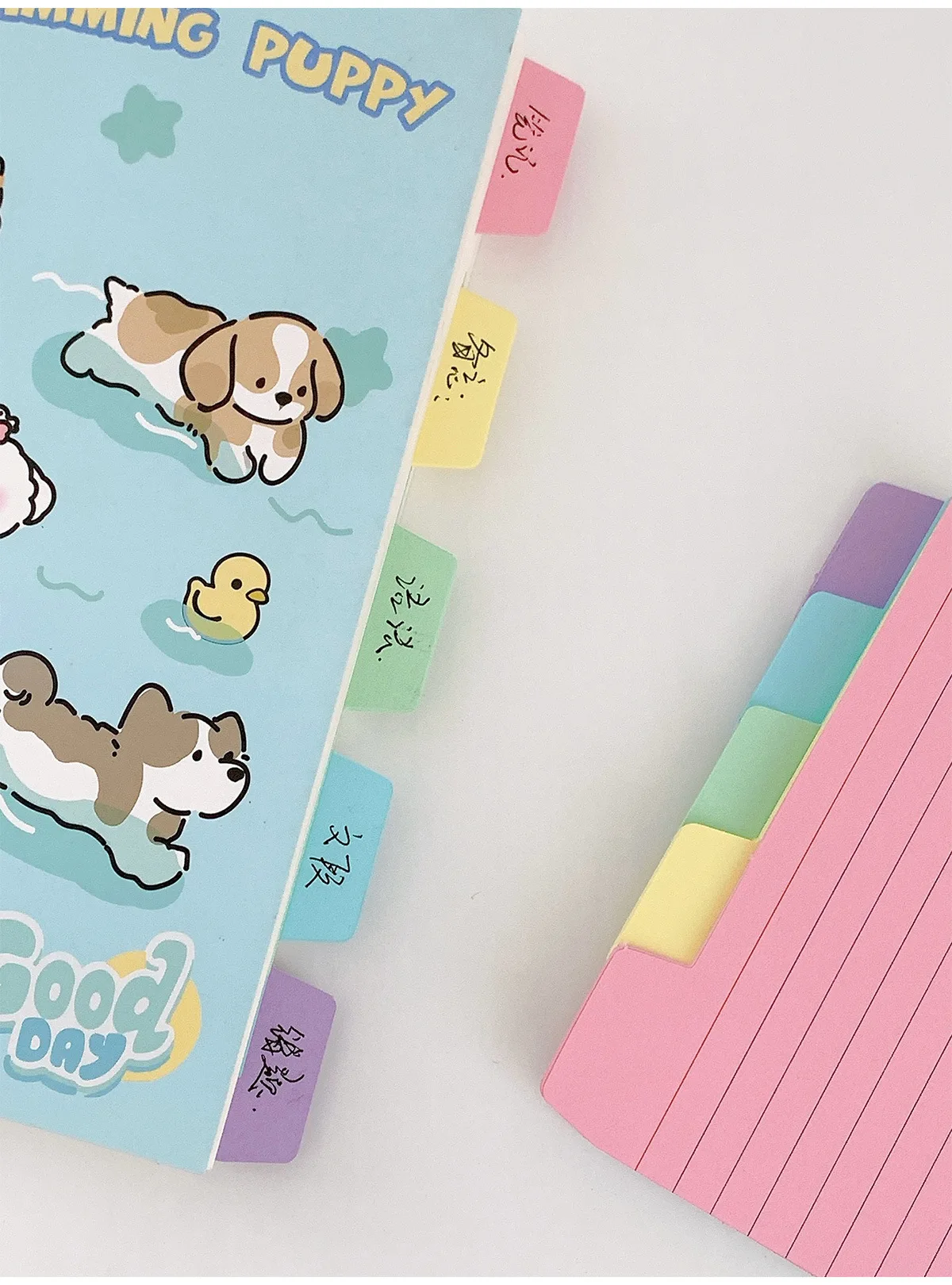 50 Stück Index-Etikettenpapier mit Laschen – 5 Farben, 7,6 x 12,5 cm (2,99 x 4,92 Zoll), 220 g/m2 dick, doppelseitig beschreibbar für einfaches Sortieren – Detail 9