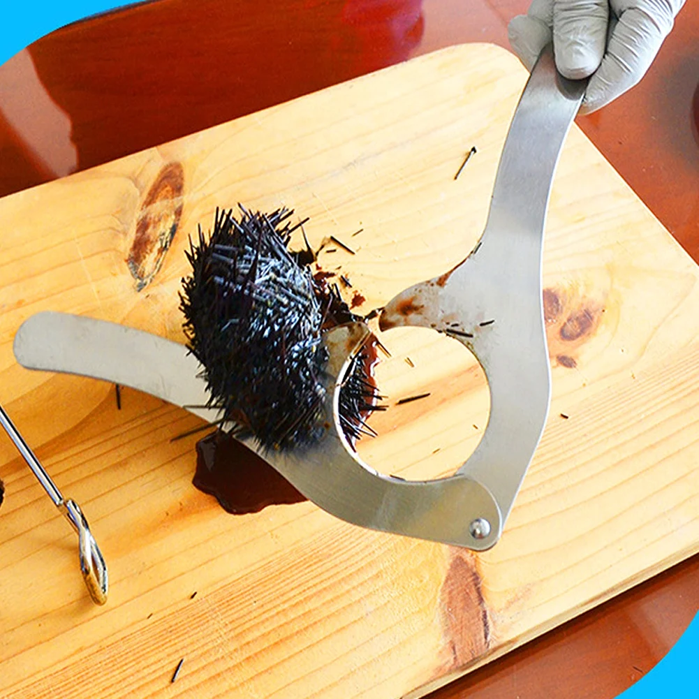 

1 шт., открывалка для морского моря из нержавеющей стали, острое лезвие, противоскользящая ручка, многофункциональный инструмент для морского щуря, гребешок, мидии, морепродуктов