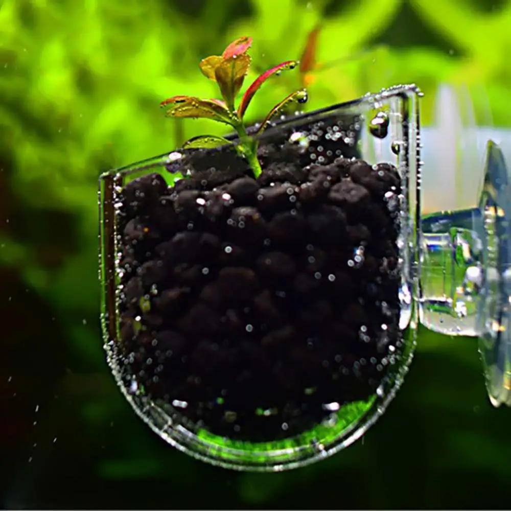 Aquarium Fish Tank Glass Plant Cup Red Worm Feeding Container Holder Pot Seeds Mud For Aquarium Lanscape Decor Clear Crystal