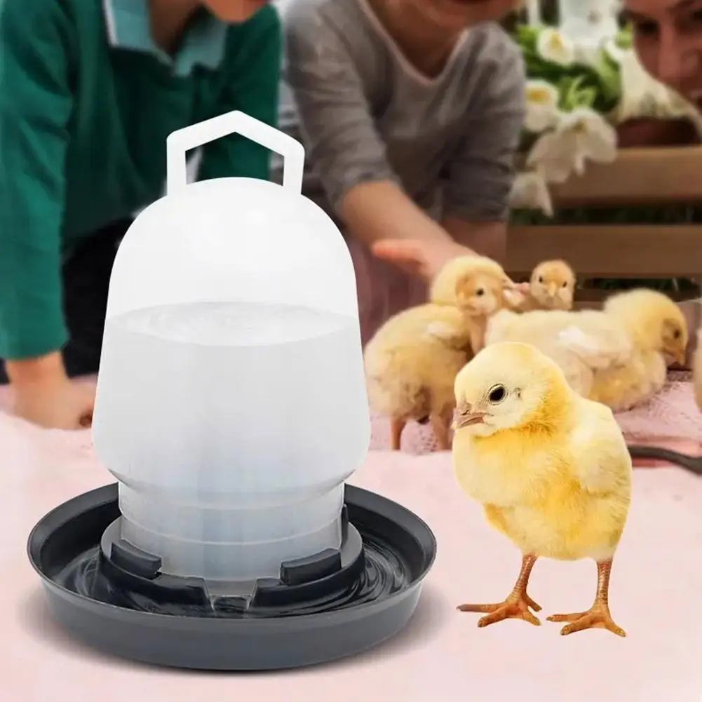 Bebedero Automático para Pollos, Comedero para Aves de Corral, Suministros de Alimentación para Gallinas, Gallos, Codornices y Palomas