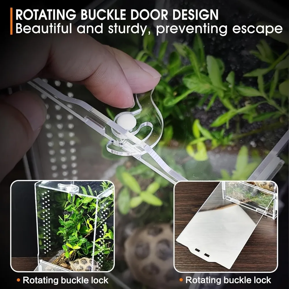 Acrylic Jumping Spider Enclosure Buckle Lock Escape Proof Reptile Feeding Tank Transparent Ventilated Reptile Habitat